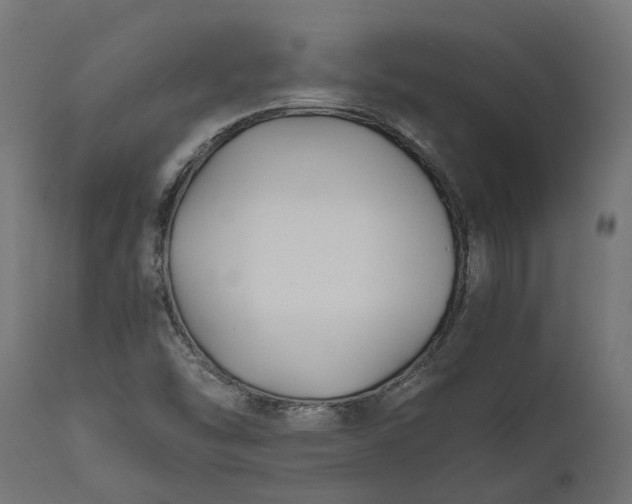 X0000111531454200907281351