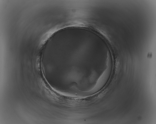 X0000111531455200907281351