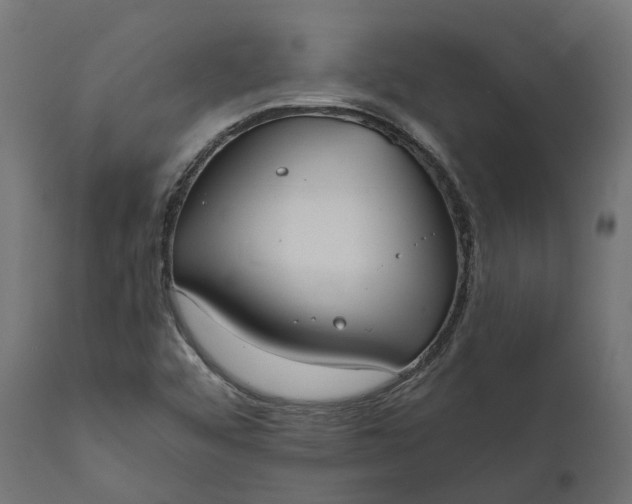 X0000111531456200907281351