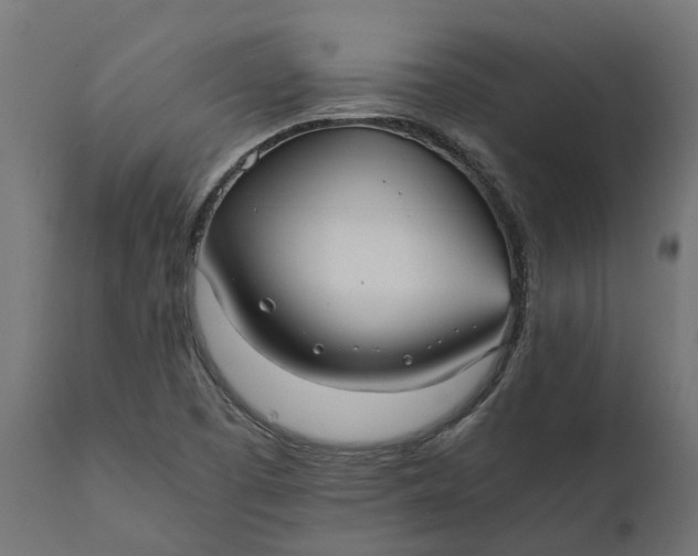 X0000111531457200907281351