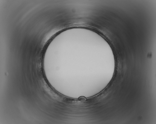 X0000111531458200907281351