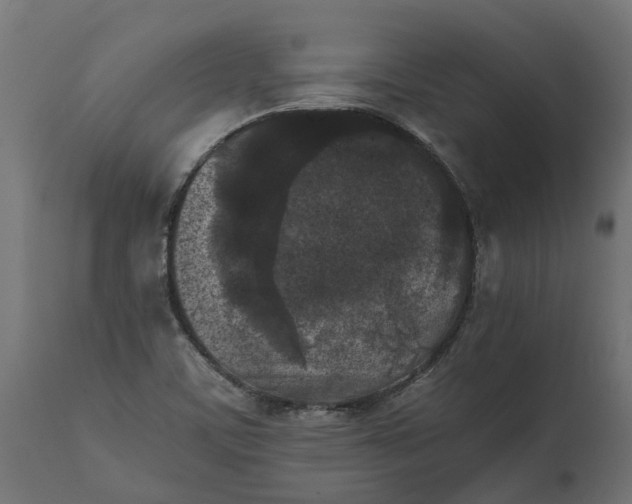 X0000111531459200907281351