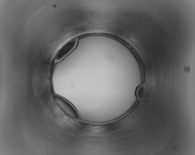 X0000111531460200907281351