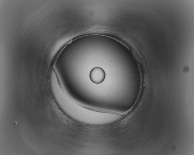 X0000111531461200907281351