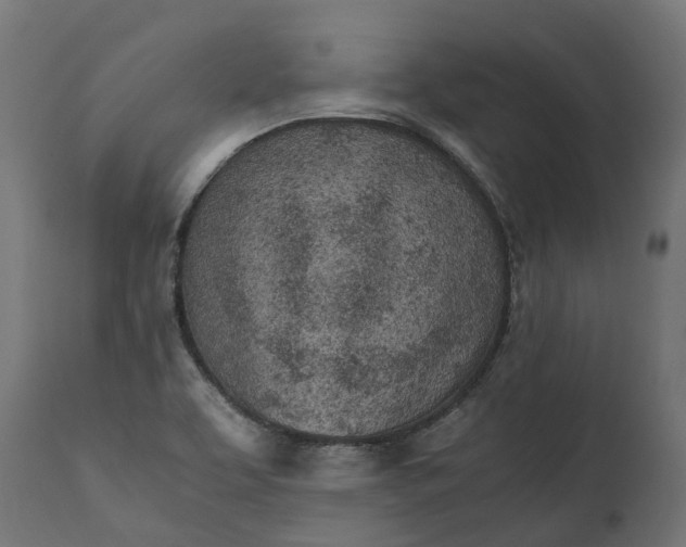 X0000111531463200907281351