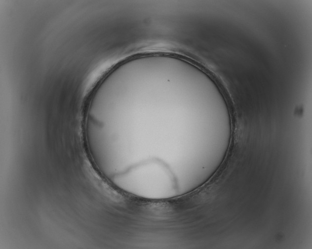 X0000111531464200907281351