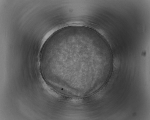 X0000111531466200907281351