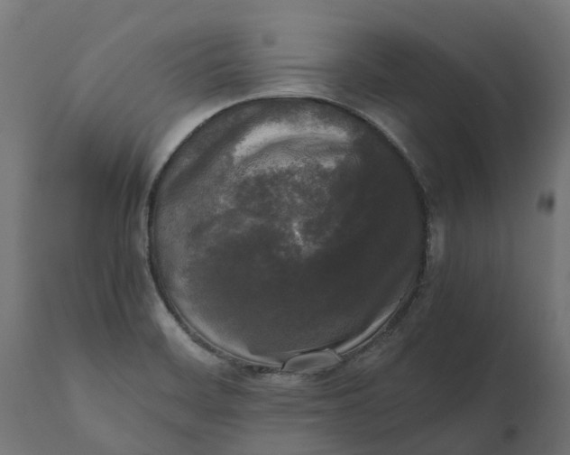 X0000111531468200907281351