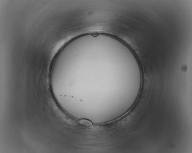 X0000111531469200907281351