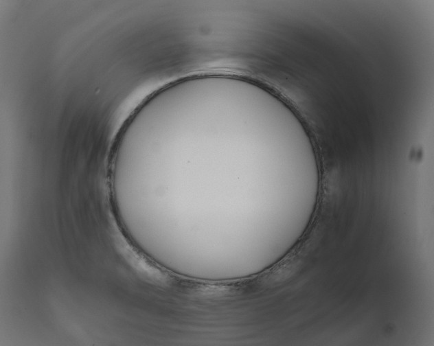 X0000111531470200907281351