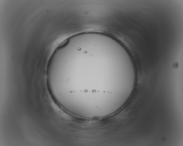 X0000111531471200907281351