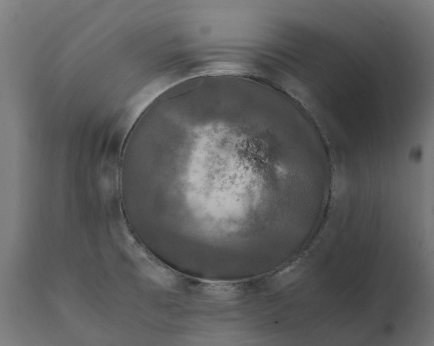 X0000111531473200907281351