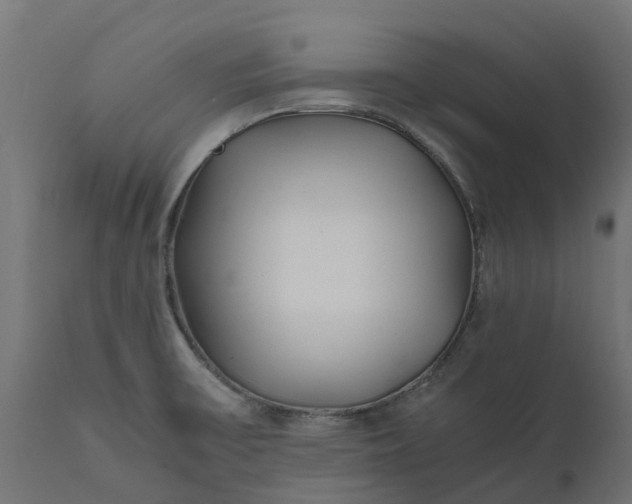 X0000111531475200907281351