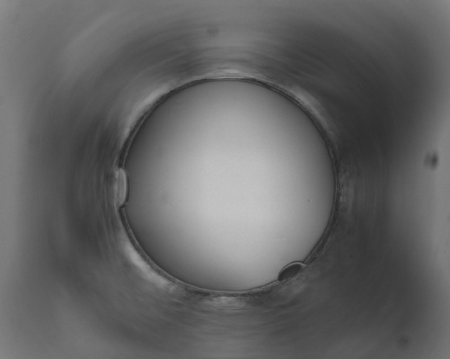 X0000111531476200907281351