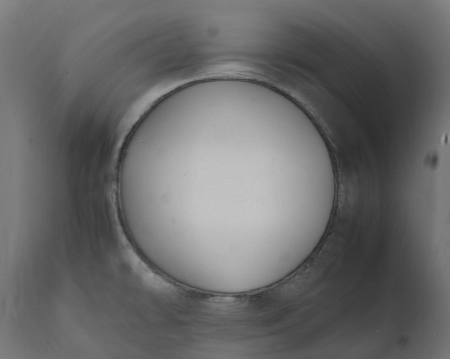 X0000111531478200907281351