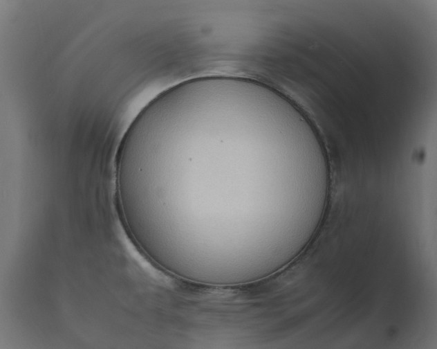 X0000111531479200907281351