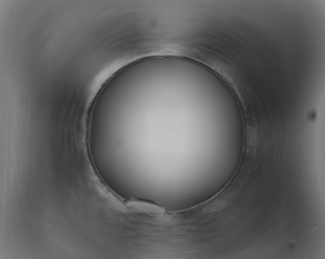 X0000111531480200907281351