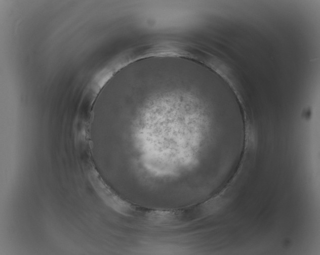 X0000111531481200907281351