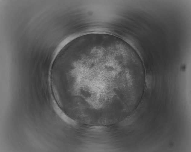 X0000111531482200907281351