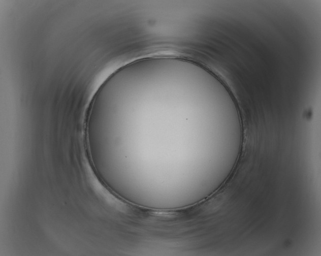 X0000111531483200907281351