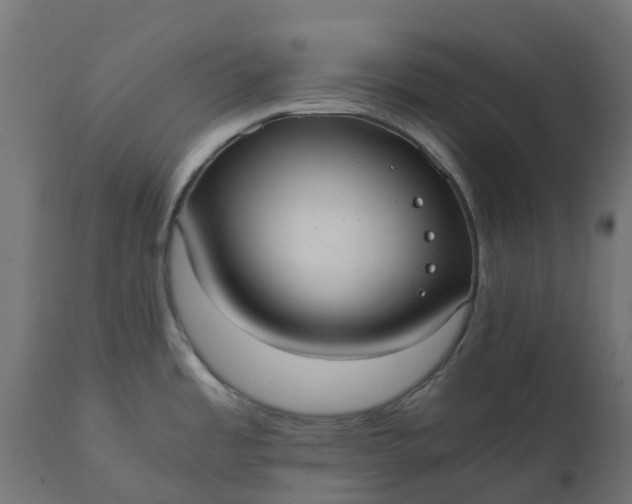 X0000111531485200907281351