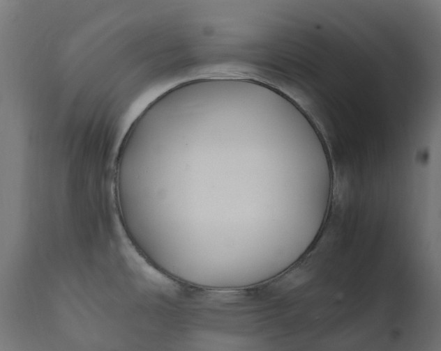 X0000111531486200907281351