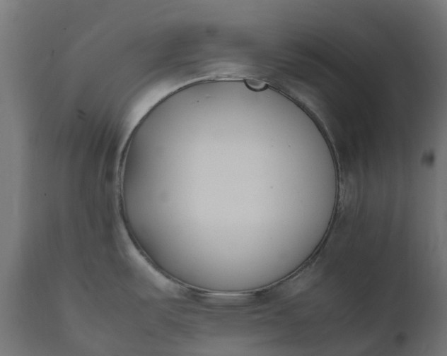 X0000111531487200907281350