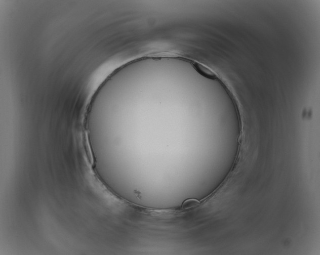 X0000111531488200907281350