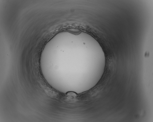 X0000111531489200907281350