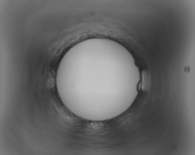 X0000111531491200907281350