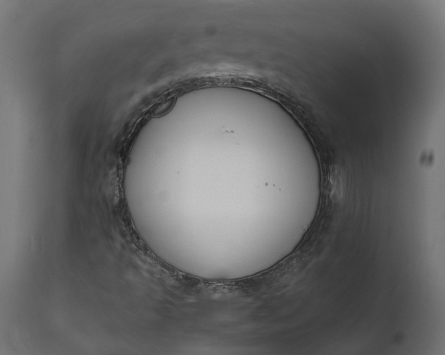 X0000111531493200907281350