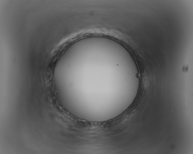 X0000111531494200907281350