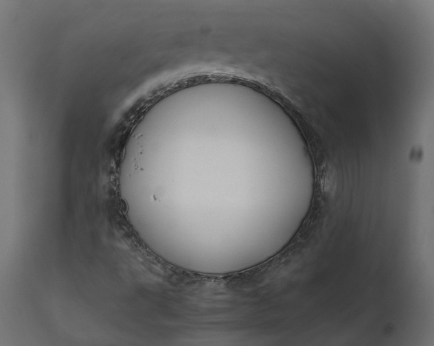 X0000111531495200907281350