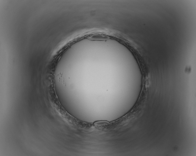 X0000111531496200907281350