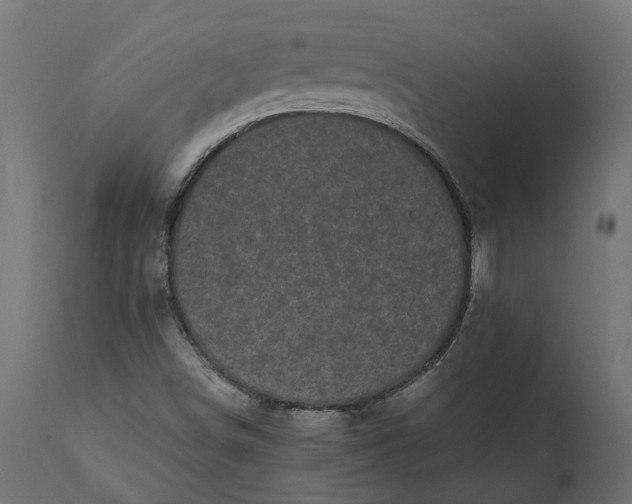 X0000111531498200907281350