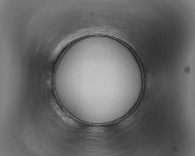 X0000111531499200907281350