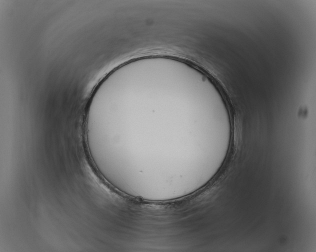 X0000111531500200907281350