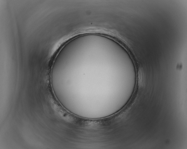 X0000111531501200907281350