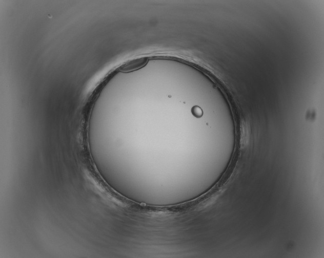 X0000111531502200907281350