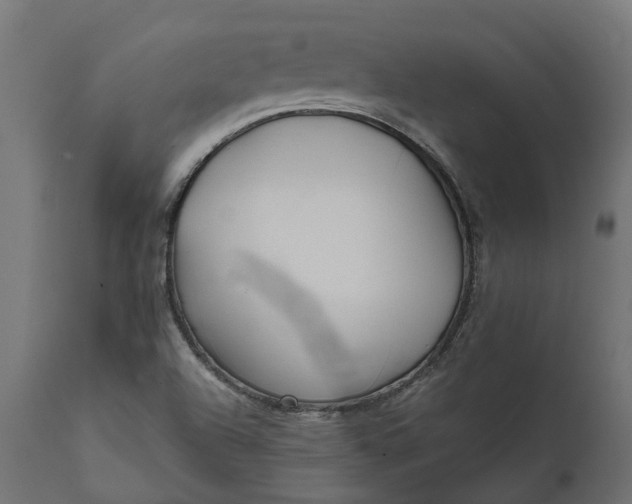 X0000111531504200907281350