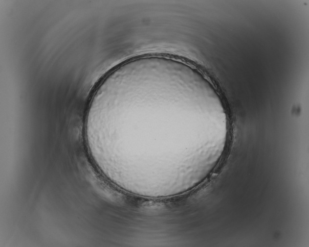 X0000111531505200907281350