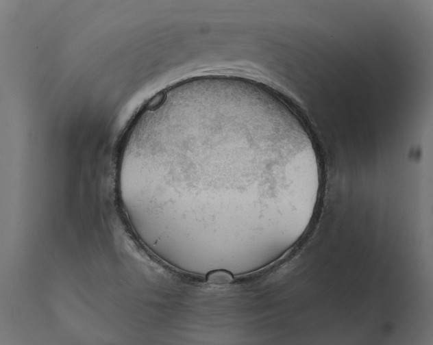 X0000111531506200907281350