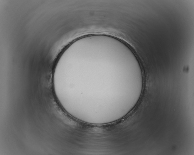 X0000111531507200907281350