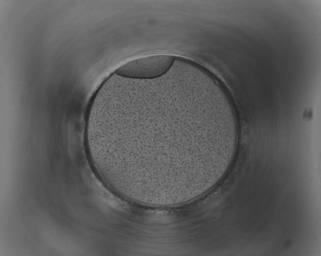 X0000111531508200907281350