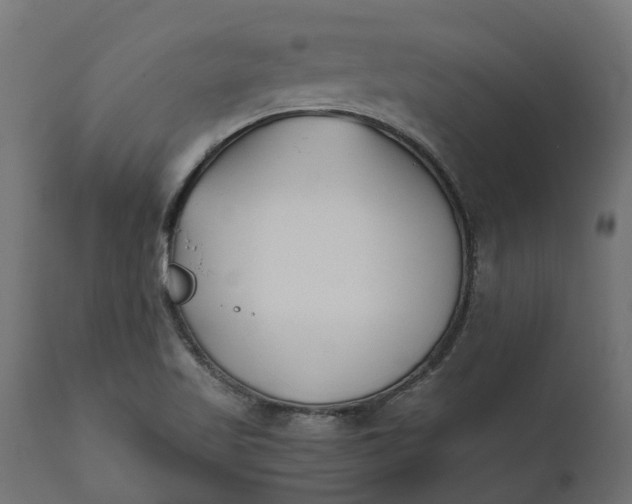 X0000111531509200907281350