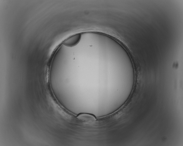 X0000111531510200907281350