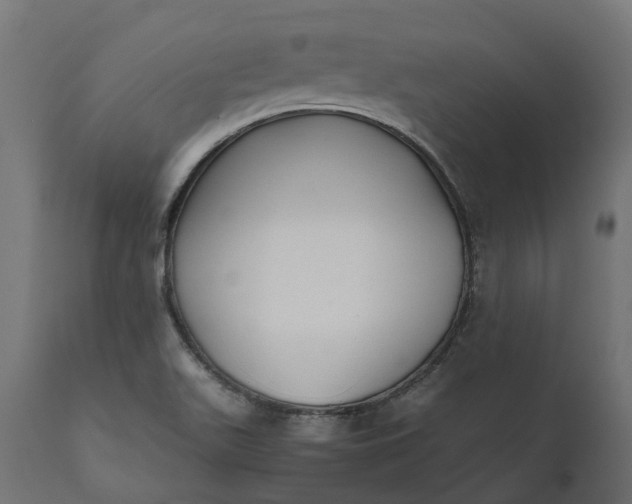 X0000111531511200907281350