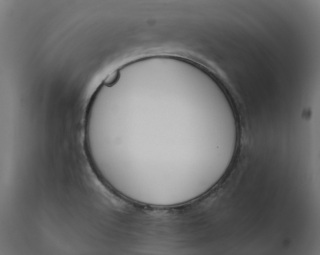 X0000111531512200907281350