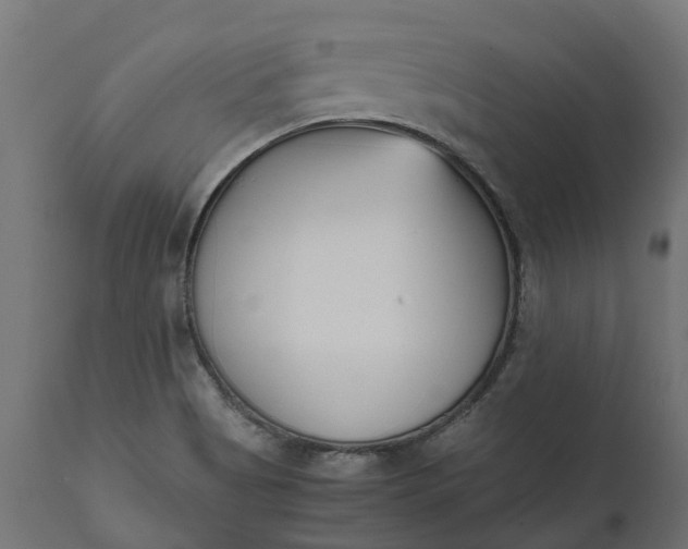 X0000111531513200907281350