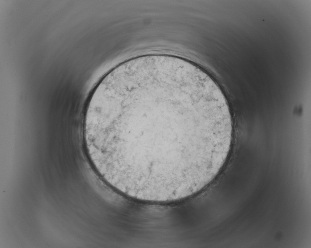 X0000111531514200907281350